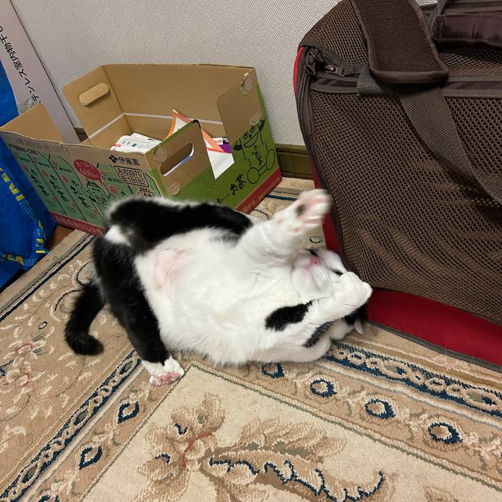 151816bc c2eb 45b6 8b3c 029927abd745 1767657328479