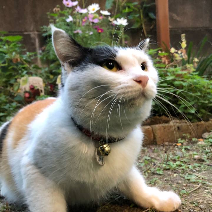 15182f5e ff83 425e b279 63ba111b822c 1606687829865