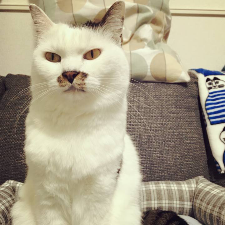 1518426f af75 4dd1 a969 8a030865b2c9 1509808959043