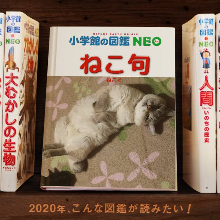 15185ee0 f1b1 4d0d a4e5 0feeef1993e8 1578110569167