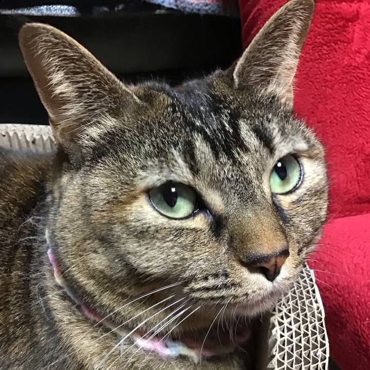 15186374 ef02 4c51 81ac 7b9fcf31211e 1701516842373