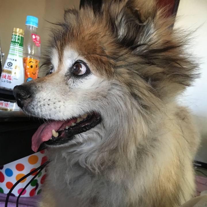 15189fd4 d9d9 442d a0d8 fe0fe93690ee 1598619452516