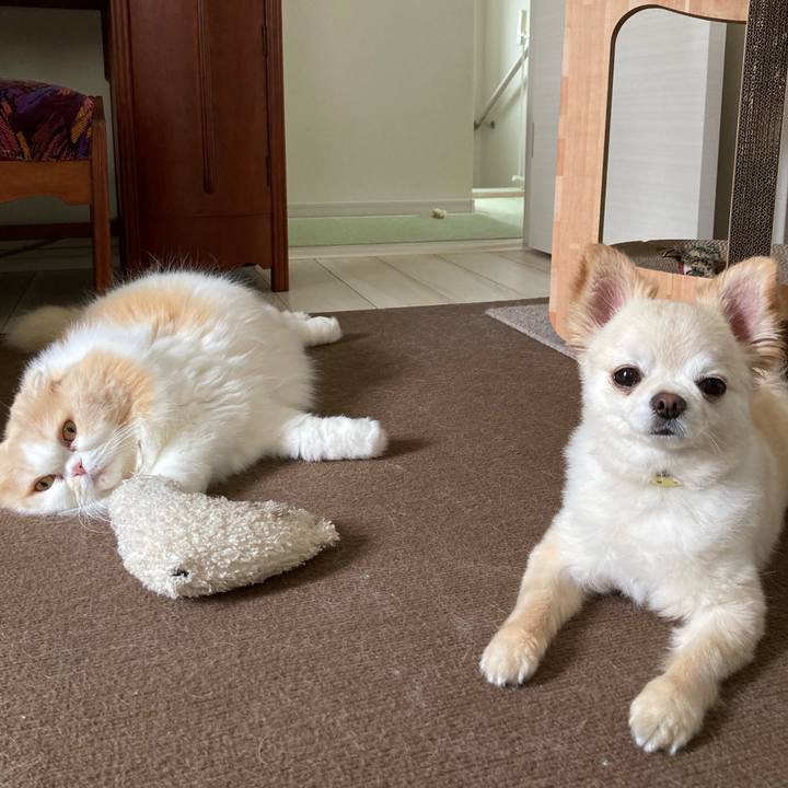 1518a476 7cad 41d6 9abc 8f1662fbca6e 1657112124011