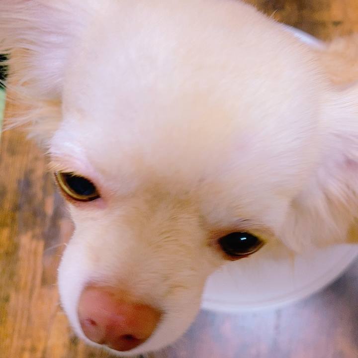 1518a80f 9780 4336 927f 66640155a7bd 1620108964152