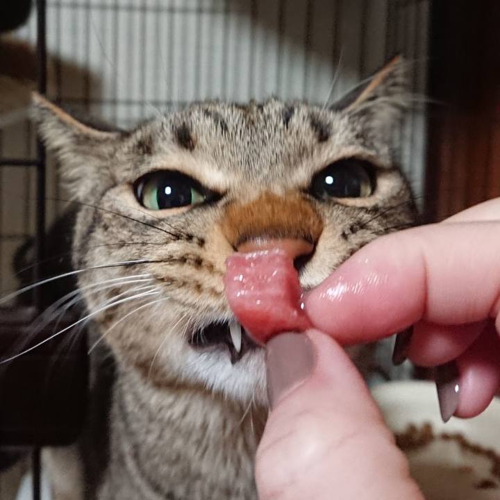 1518c3c9 55c5 4d87 b7cd a919154ac5d2 1549199237722