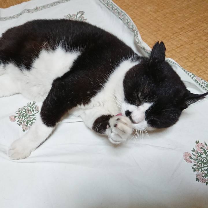 1518eef0 76c4 46c2 9d7c 072ff14da738 1657547530797