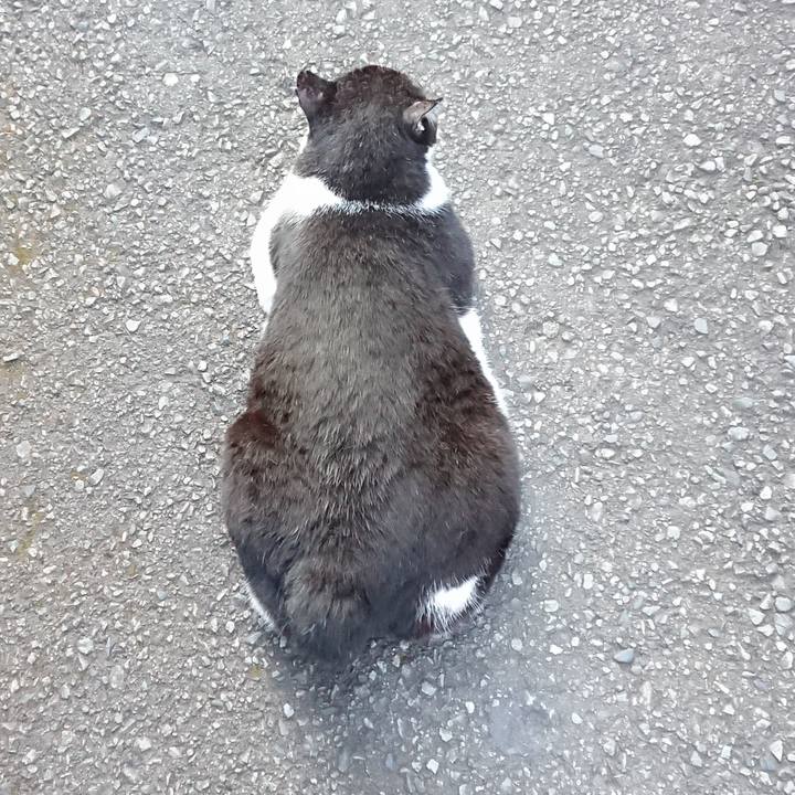 15192002 5d40 40ca abe3 63f351bb56bd 1598437692069