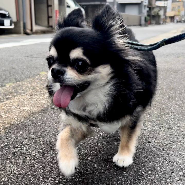 15193262 be03 415f b03b 5661718cec56 1724970915161