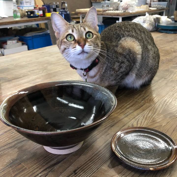 151941cb b319 49d8 b29e ccc7ed032bcb 1617776739580