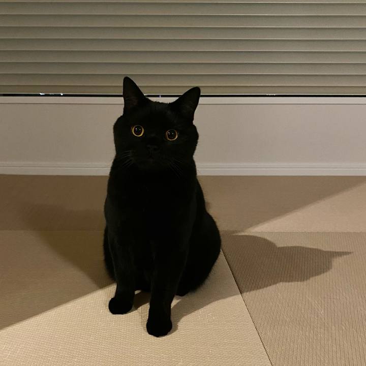 15197596 dced 44b4 886b 08611ac93b2c 1607080288938