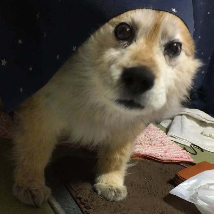 15199d56 b67b 447c 97c5 1e94a2a2dcc6 1549293812130