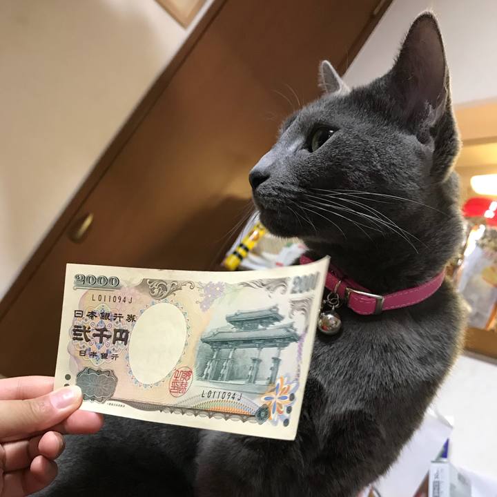 1519b5bb 0332 41c1 909a b7b857f84bcf 1524229642301