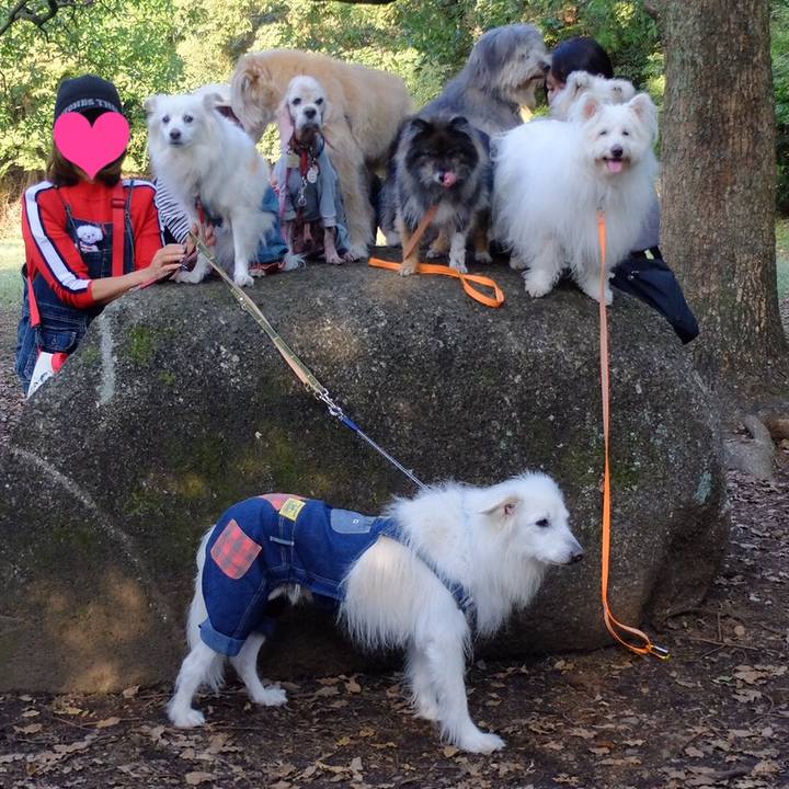 1519d73e 8e55 486a 8d49 186c4c284d64 1572923741431