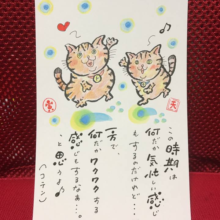 1519e9a6 a2e7 42e8 a968 0516770e7266 1545138774876