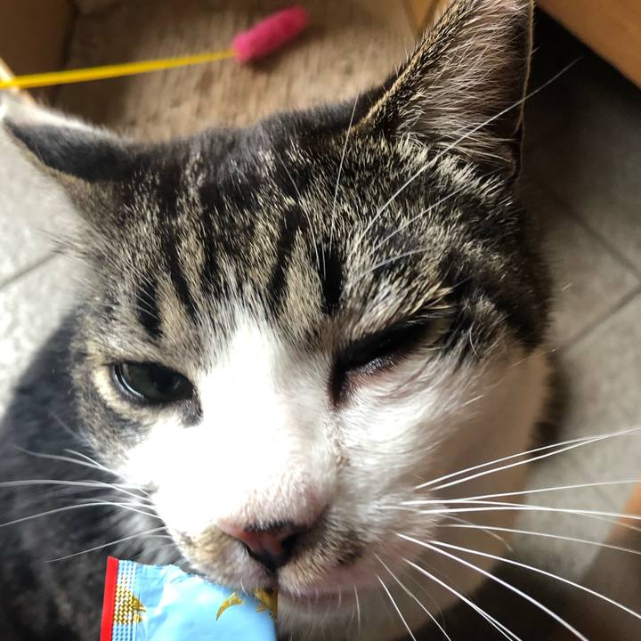 151a108e 1bf7 41cc 9c64 6dd00d2cddff 1588667524964