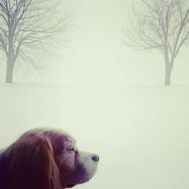 151a2998 ce97 4ed0 abfc 71543fbabb97 1516173481175