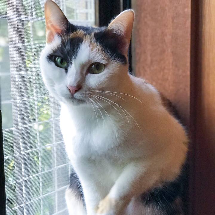 151a740b c346 4f2a 91b2 d5cd8b900885 1509455833605