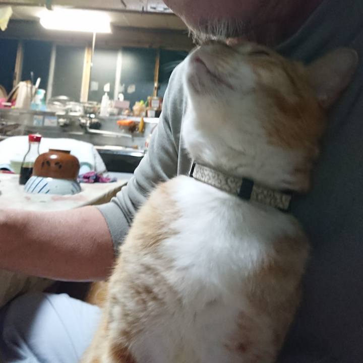 151a791e 6aab 4fc4 a3b6 3e2a5abfcddc 1589800589979