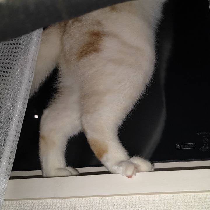 151abf40 60f8 4d23 a301 2a6e9a7921dd 1678547936014