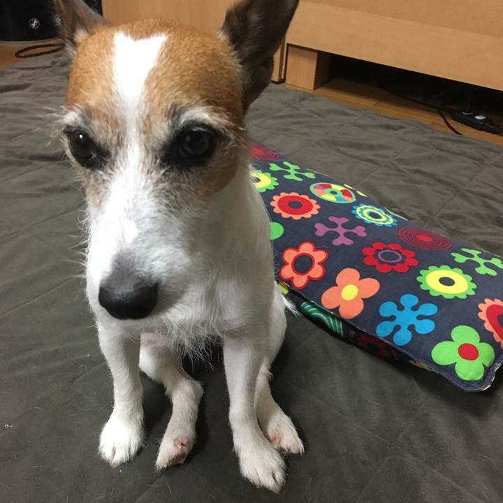 151ad72f ea65 4209 97ef f480d68cf795 1567140082507