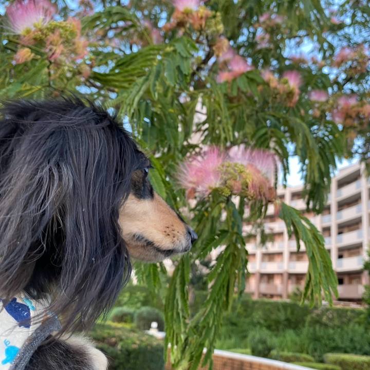 151b15f1 a573 4e63 8fc6 6f9955b19c12 1751163313547