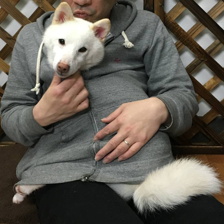 151b2f1c 9870 4f3c bdbf 28097d4baae8 1767163096358