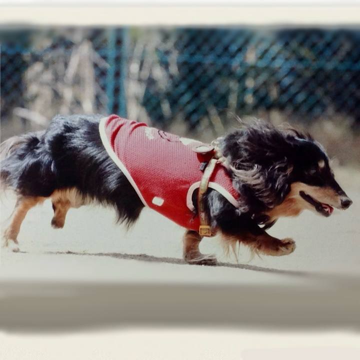 151b5074 5ccc 45f2 83a2 5a91479f6712 1723500201819