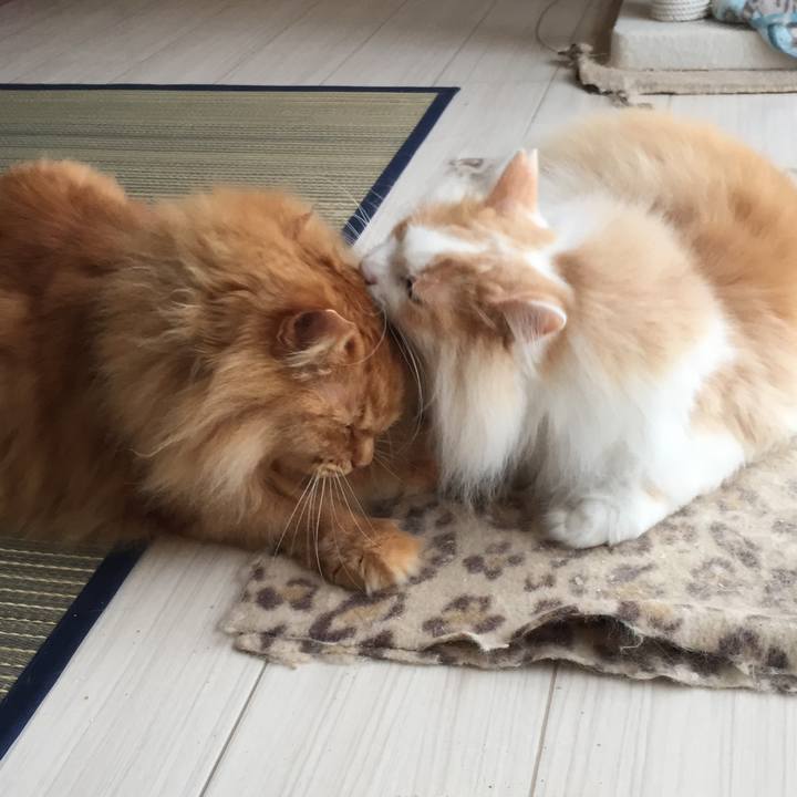 151b65dd 04ae 43e3 a3cb 3dda1fe8c740 1535060784223