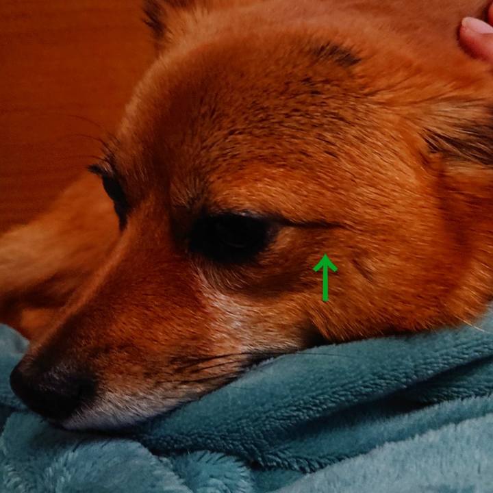 151b9fd8 61be 451a 9563 fd7bc4f31c4c 1558414190647