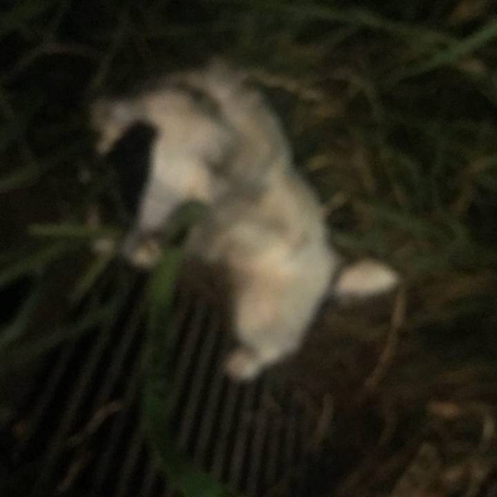 151bb037 220a 474d b05a 985adb5979fe 1531232012755