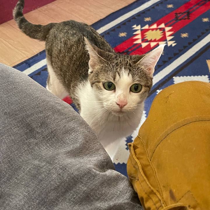 151bd2f9 5499 4152 aacb fad3192a66ea 1626496366592