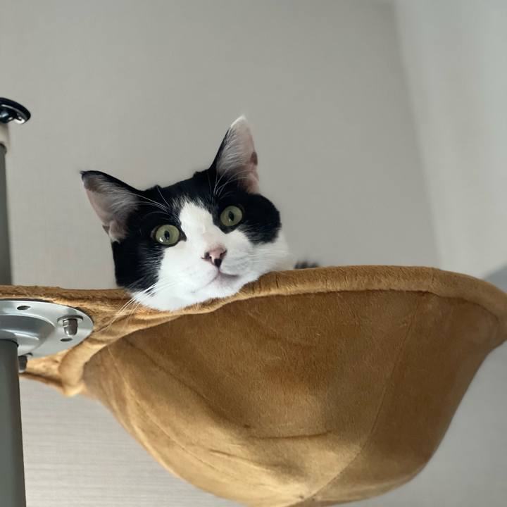 151bde26 fc8a 4afe a7a5 e485abc2bd52 1690684697790