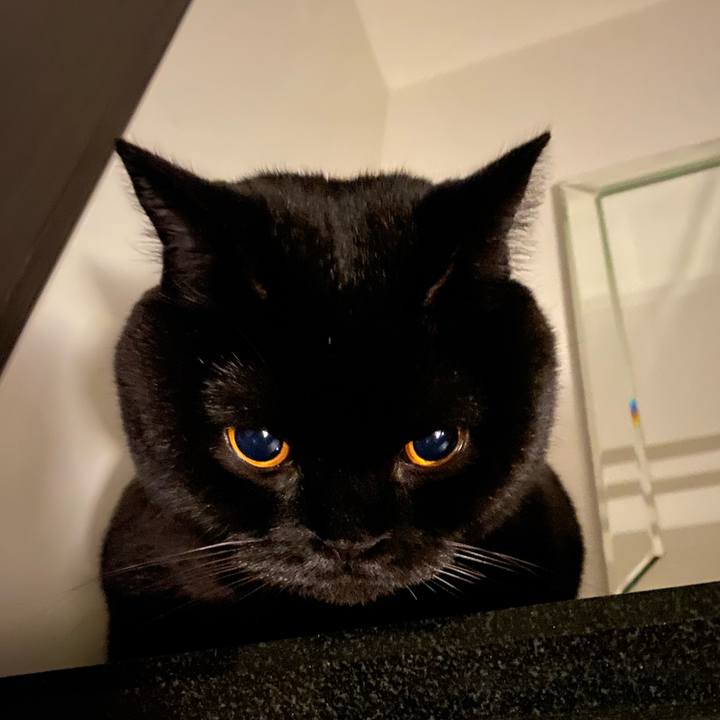 151c03d9 b600 4d8e 94ad 2325f90b50a8 1648036834431