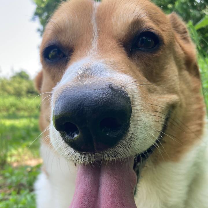 151c0d5e 2ac4 4abe a840 4661755a4b36 1747827748002