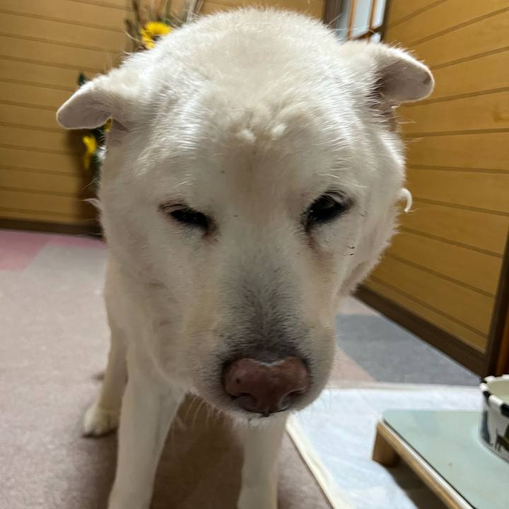 151c464f 6ecc 441f b3a0 cb568272d437 1769214132329