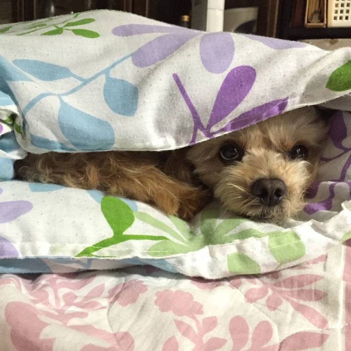 151c4b3c 0cea 46f2 8cd9 08954ffd468c 1570504963041