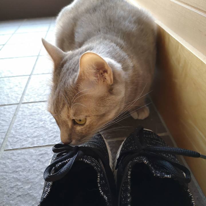 151c53d2 72a4 48c6 8b58 d9e8a69486b8 1586404447877