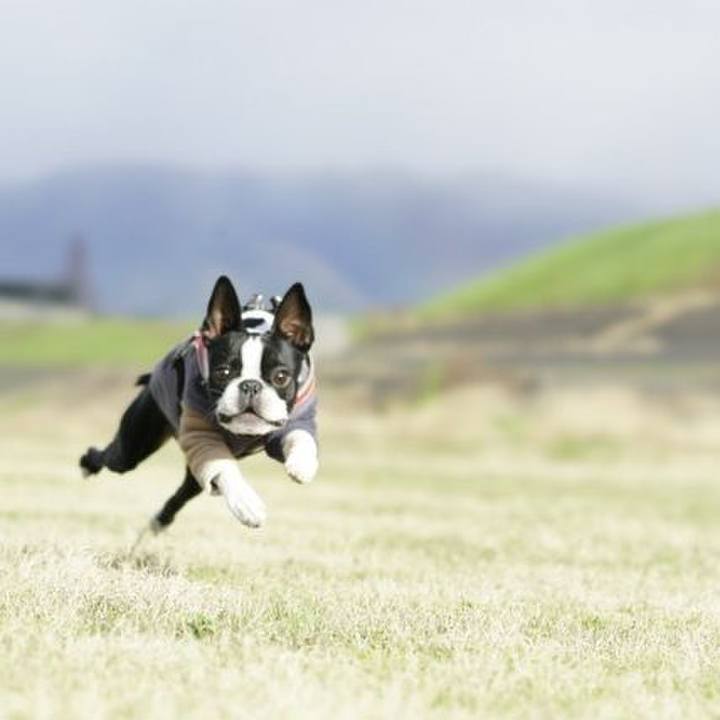 151c79ce 65ff 41f3 81d1 445182e0ecd8 1546154392953