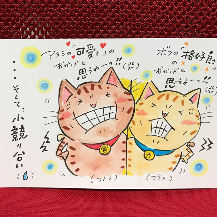 151c7f8d 7a90 4ecf 91dd d8ff1f074204 1549374546607