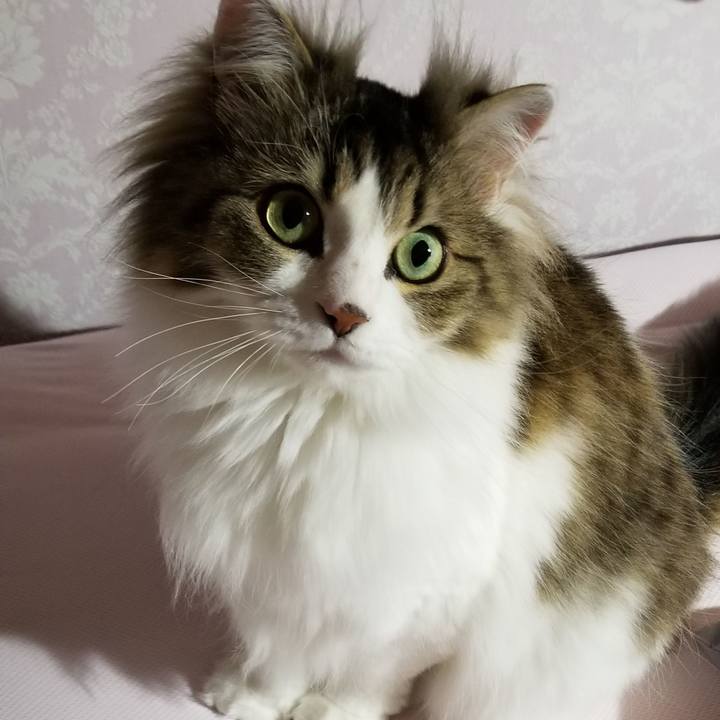 151c8afd 99c7 48cf ba1a 91efa0daef52 1557435503738