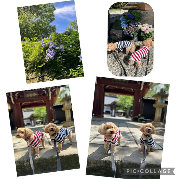 151c9c80 931c 438b a34d 7fddd64c5e5c 1688278647255