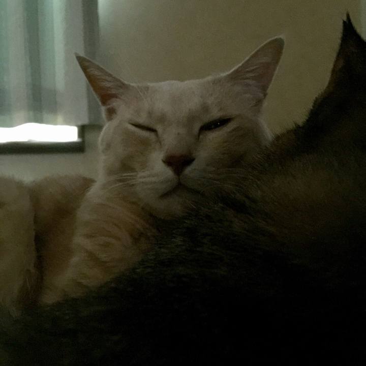 151ce3d5 275c 48c3 b9f5 fcb5dc9fa478 1535670259399