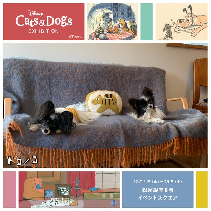 151ce69d 24fc 4b38 ae4e 53649a861aec 1638572619855