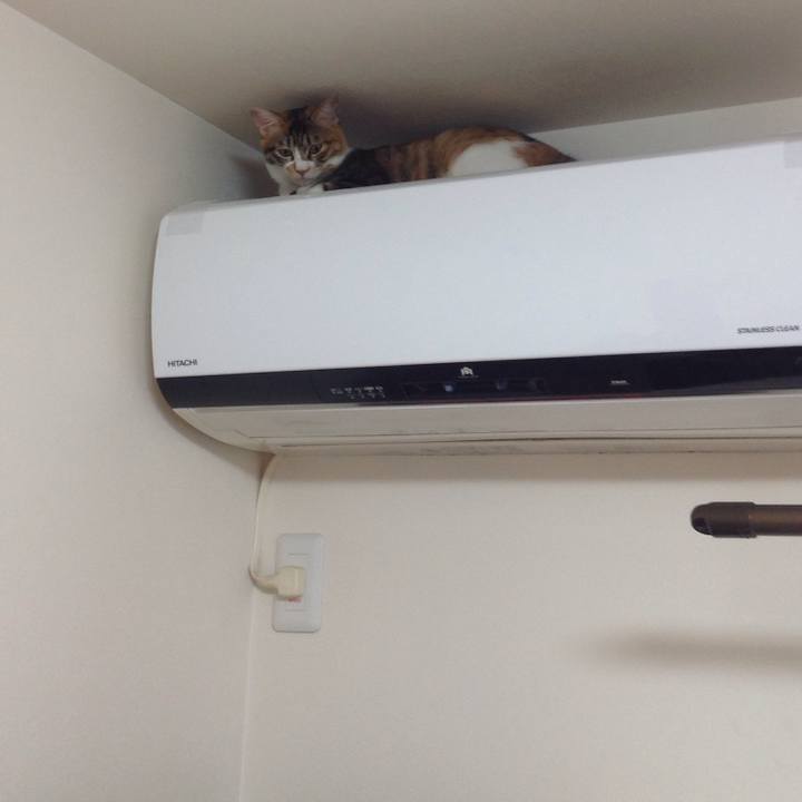 151ce7b4 b9ea 4291 a378 017befb886cd 1640930930539