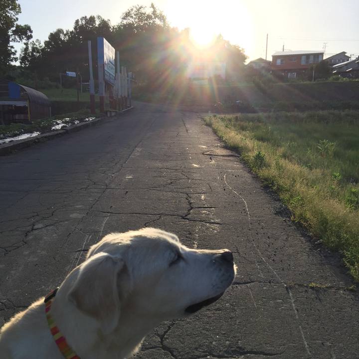 151cf41a 9fb1 404d a09d c63348965ded 1527329336959