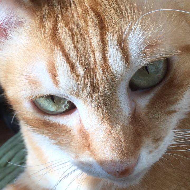 151cfeab 817e 4ae9 94b5 6a38b293f318 1543231065511