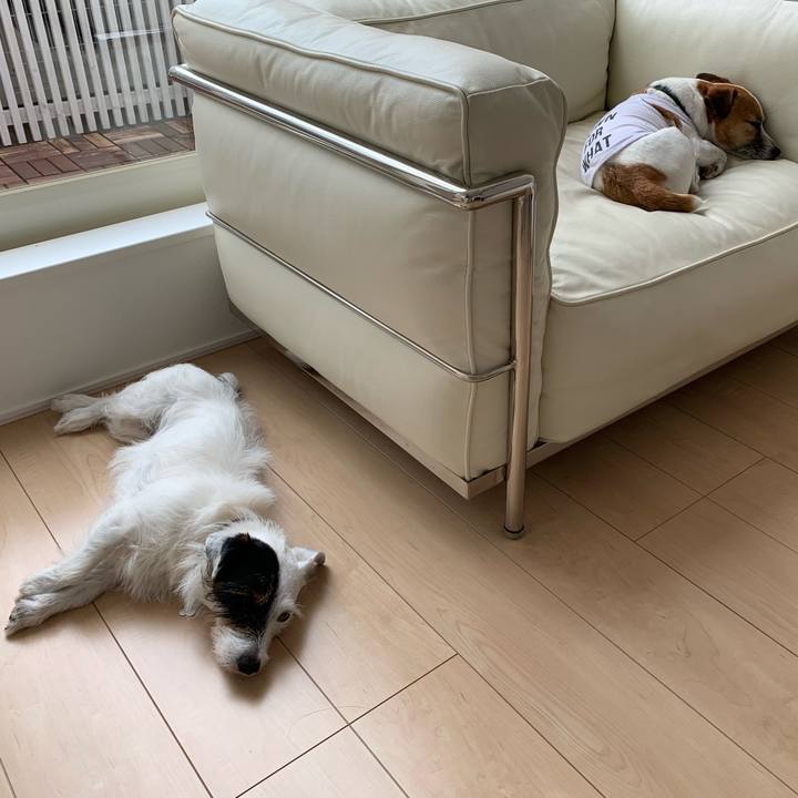 151d12b1 9da8 409a a7b6 7d2fa276c11e 1560838356937