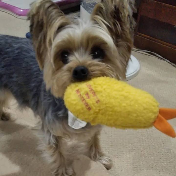 151d1b16 7d62 4c1e a13c 1686dbbb34b9 1643525302340