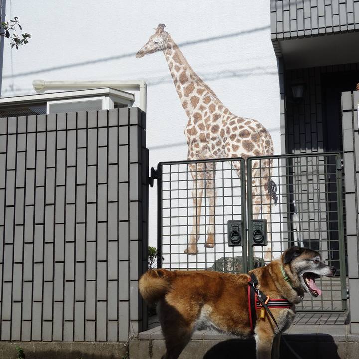 151d30dc b77f 40d1 ba31 87edfdd2a87f 1528509500823