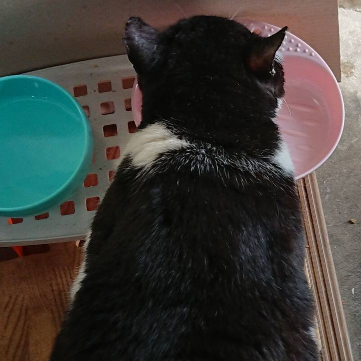 151d3609 8506 4af3 b7aa 8fbcb750c7f7 1588809286453